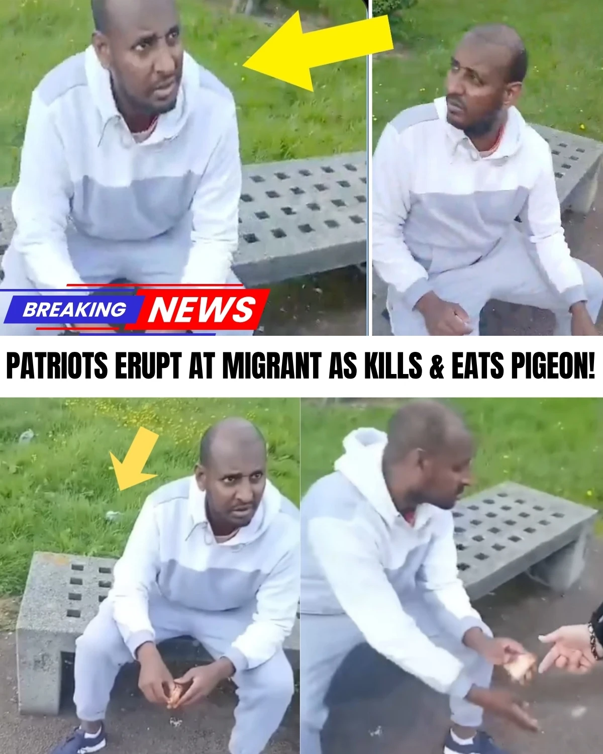 A shocking, raw street-level interrogation has completely set the internet on fire! 😱 Furious British residents brutally cornered an individual accused of hunting down and slaughtering urban street pigeons directly off the pavement for dinner!