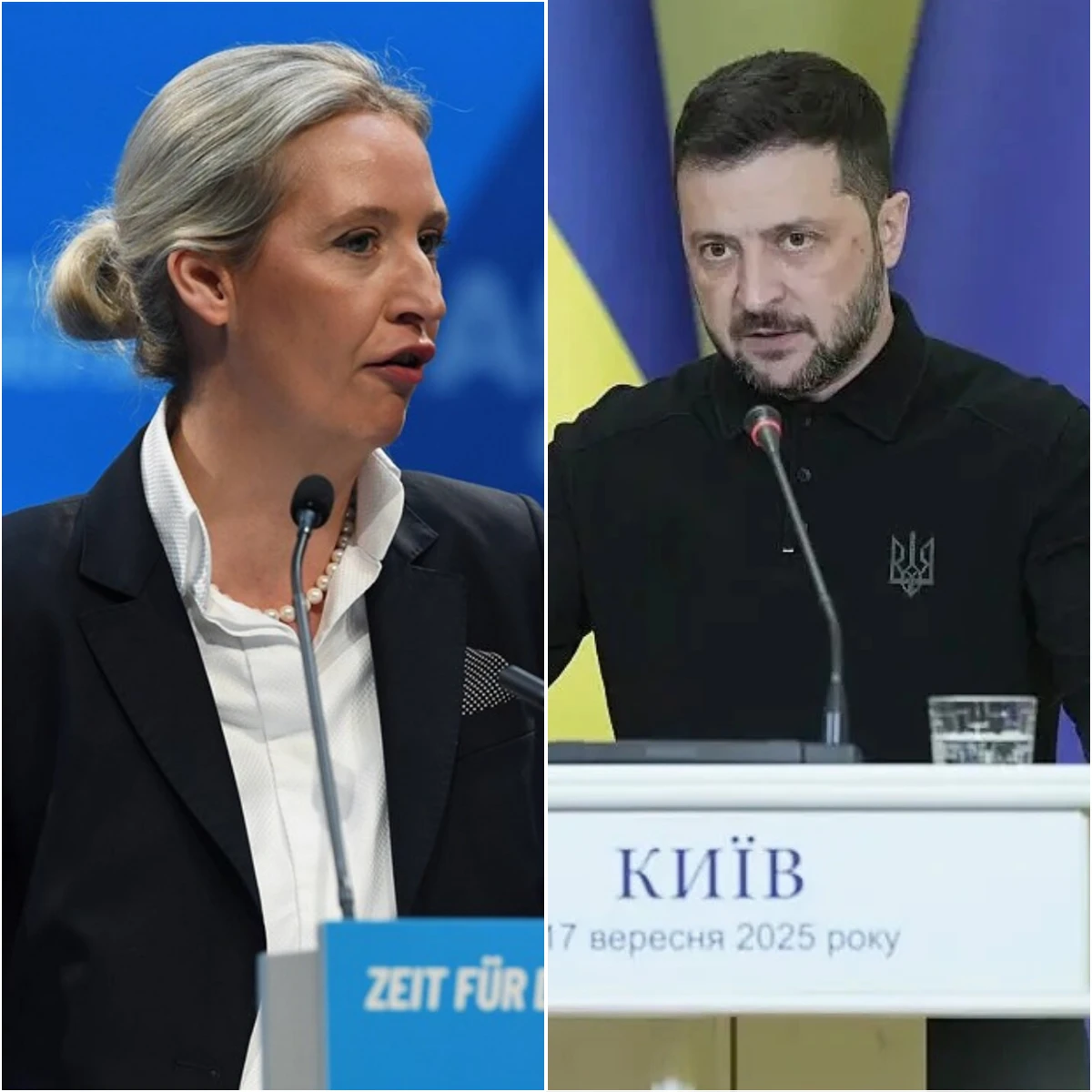 🚨 BILLIONS VANISHING: Weidel Exposes Zelenskyy’s Secret Accounts! 🇩🇪🇺🇦