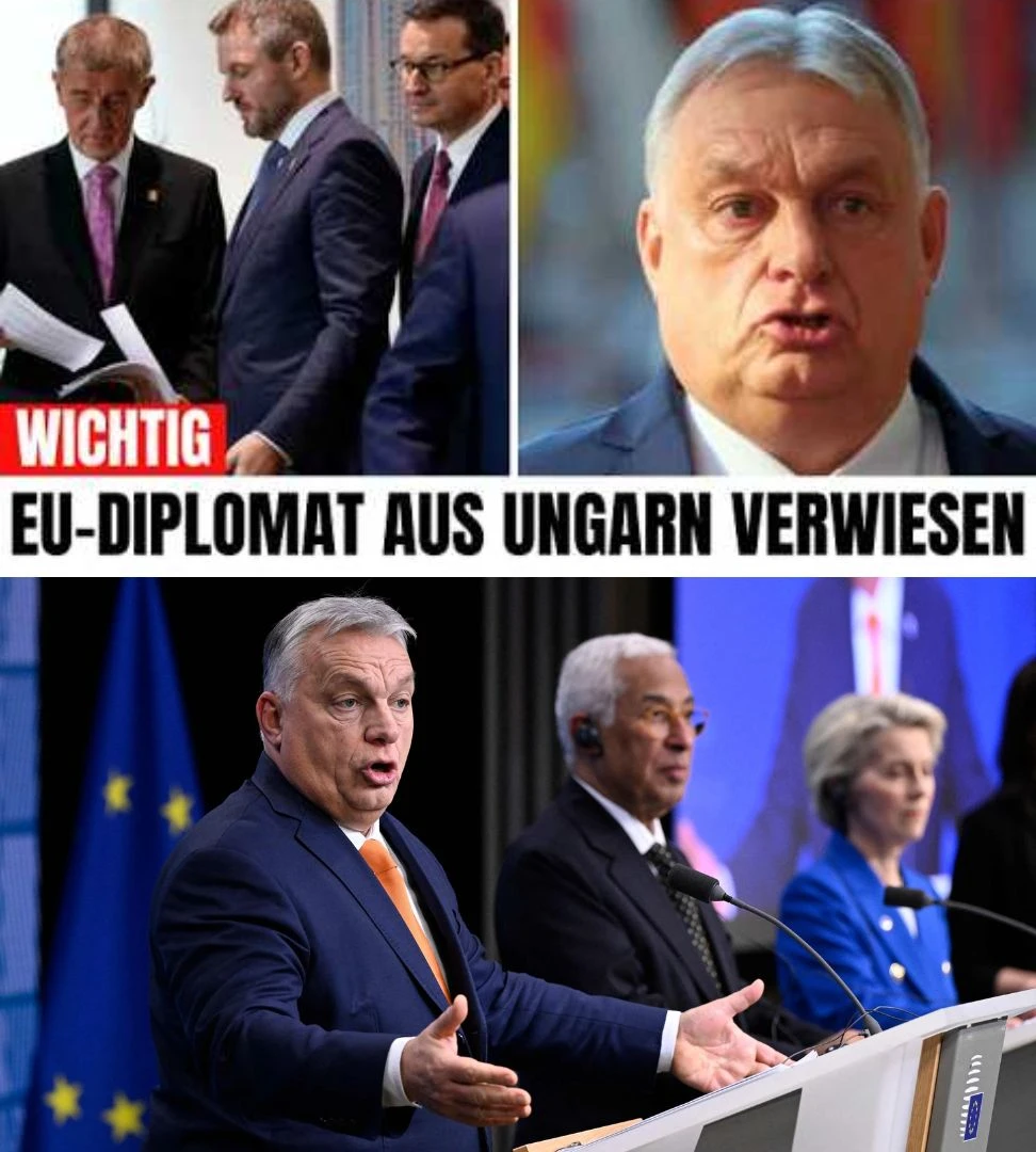 Orbán weist EU-Botschafter aus Ungarn aus Brüssel kündigt Vergeltungsmaßnahmen an