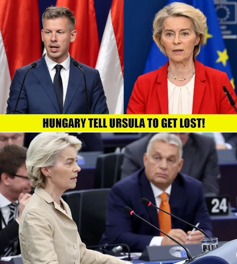 Ursula von der Leyen Confronts Hungary After It Rejects EU Migrant Pact