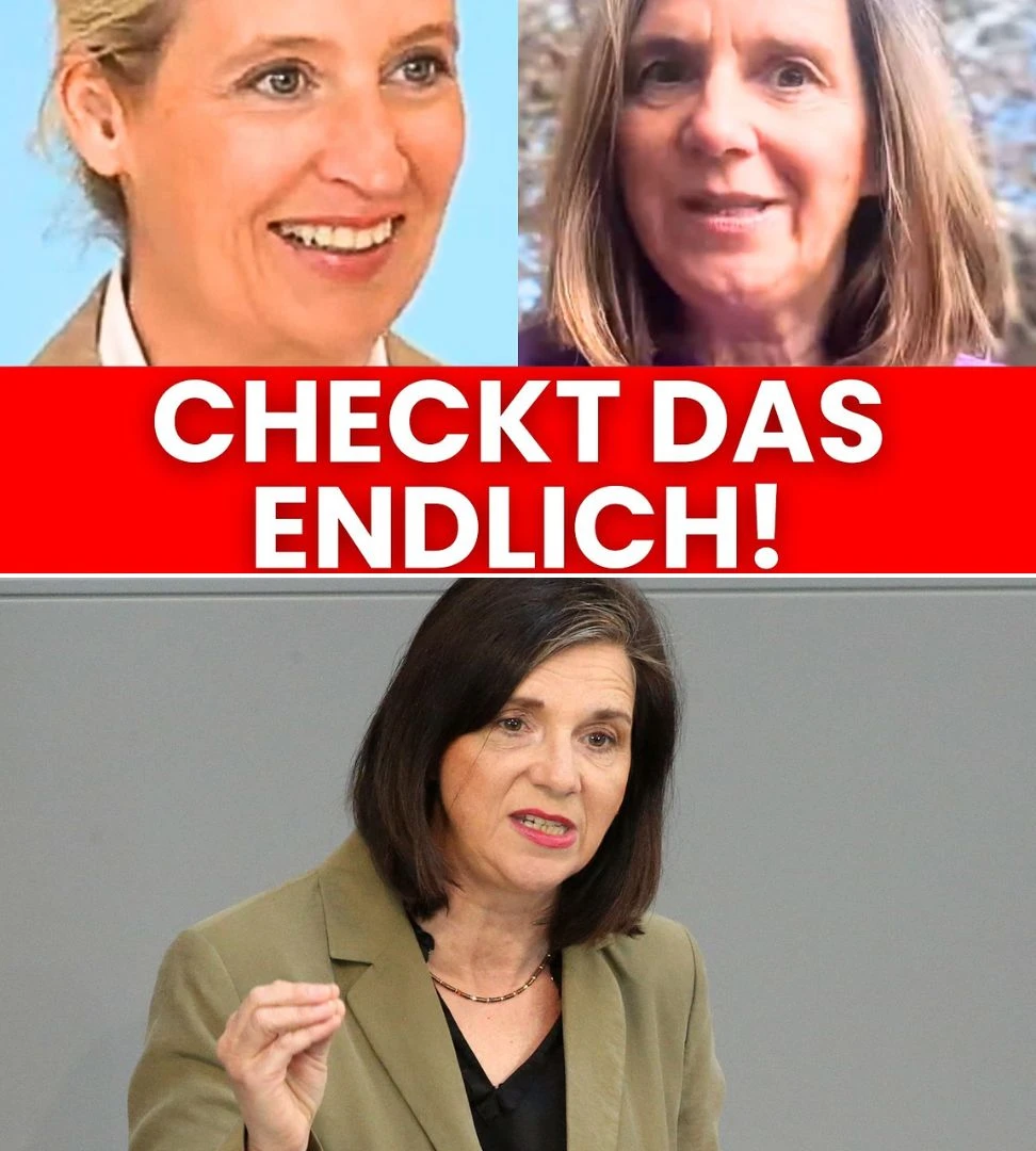 Plötzlicher Wutausbruch von Göring-Eckardt AfD hatte recht und das regt sie auf