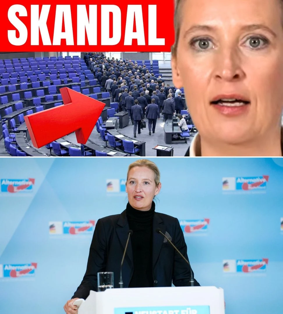Ausnahmezustand im Bundestag Weidel konfrontiert flüchtende Abgeordnete im halbleeren Saal