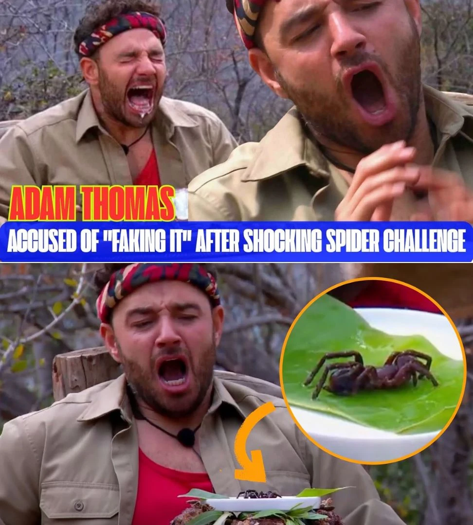 Adam Thomas Faces Faking Claims After Shocking Spider Trial in I’m A Celebrity Final