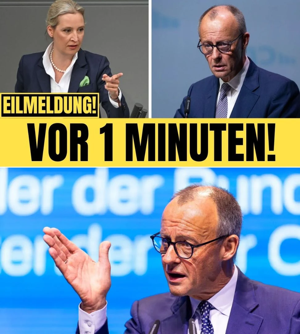 Machtkampf in Berlin Merz steht vor dem politischen Aus
