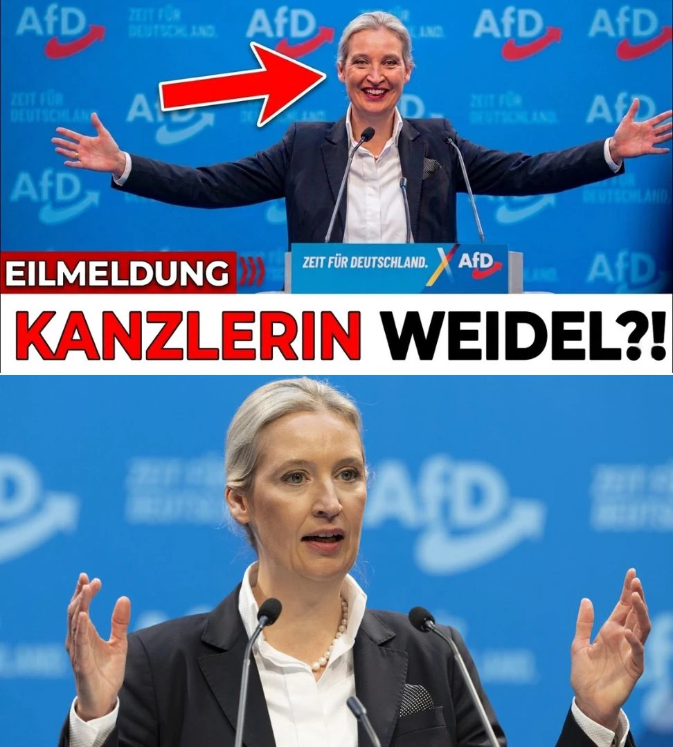 Weidel im Aufwind und die Frage eines möglichen Machtwechsels in Deutschland