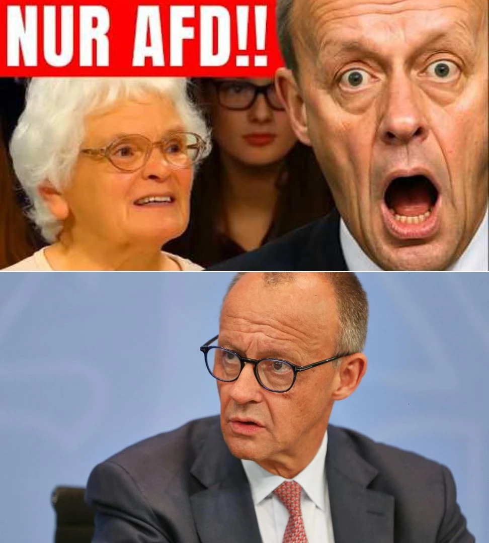 Rentnerin schildert ihre Gründe für die Wahl der AfD