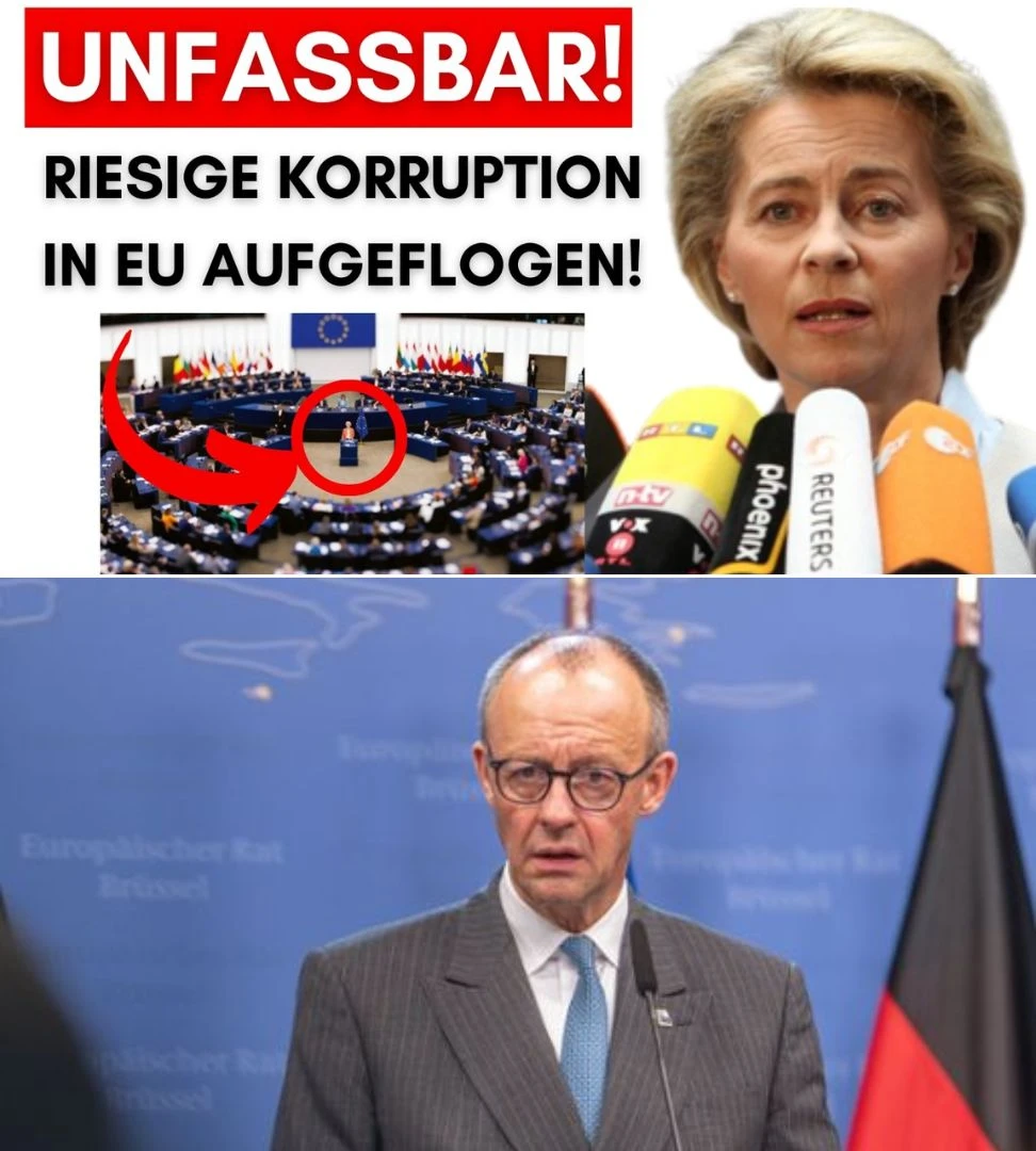Über zehn Milliarden Euro entwendet – drei EU-Staaten haben Deutschland hintergangen