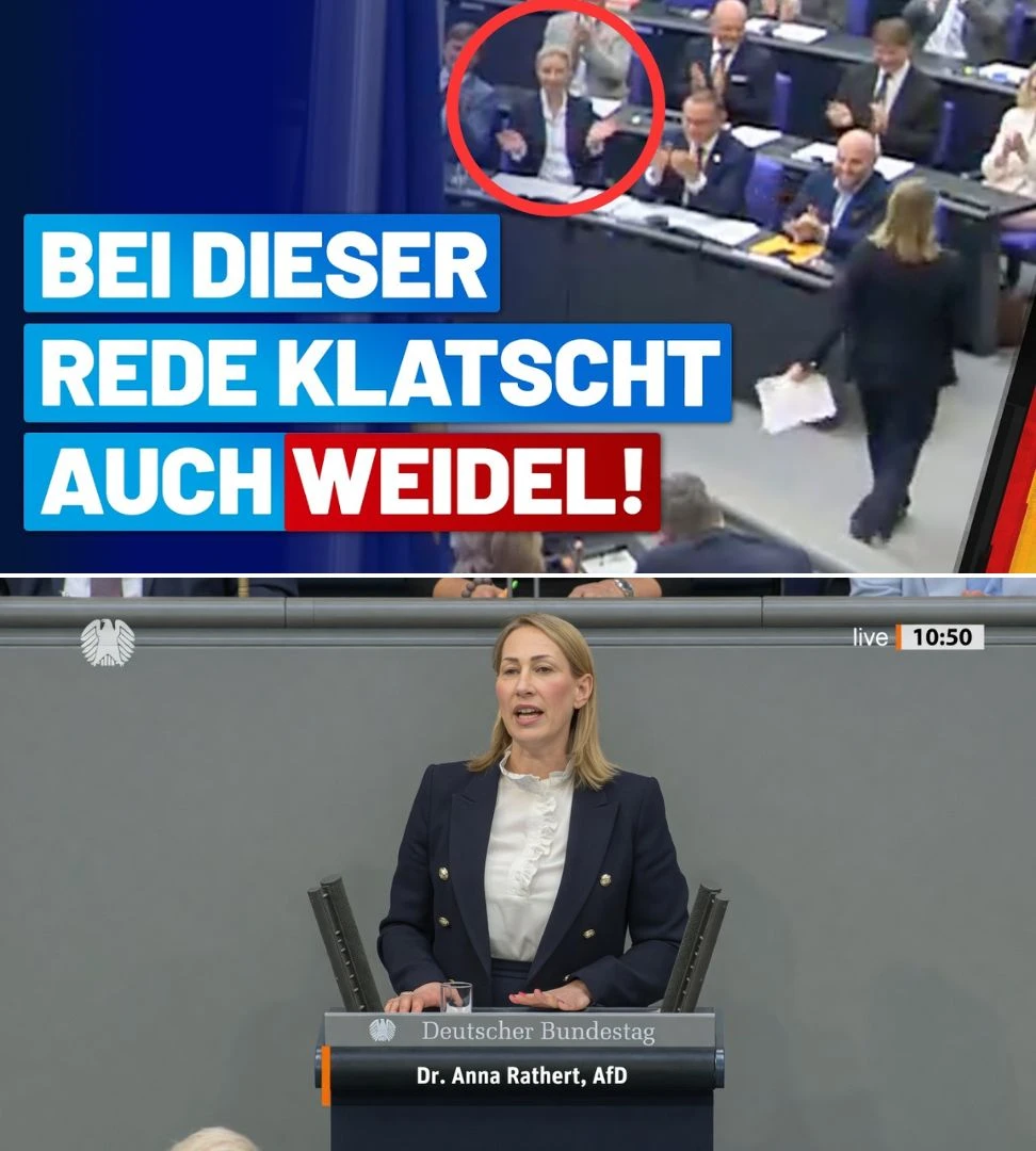 Dr. Anna Rathert sagt vor Untersuchungsausschuss zu Nord Stream aus AfD-Fraktion im Bundestag