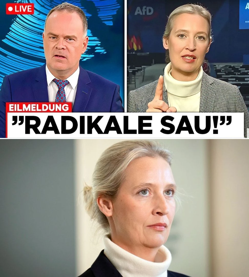 Reporter beleidigt Weidel im heute journal und bereut die Aussage sofort