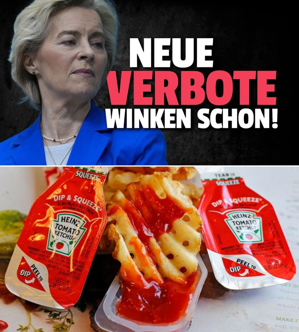 EU verhängt Verbot für Ketchup, Mayo, Senf und zahlreiche weitere Lebensmittelprodukte