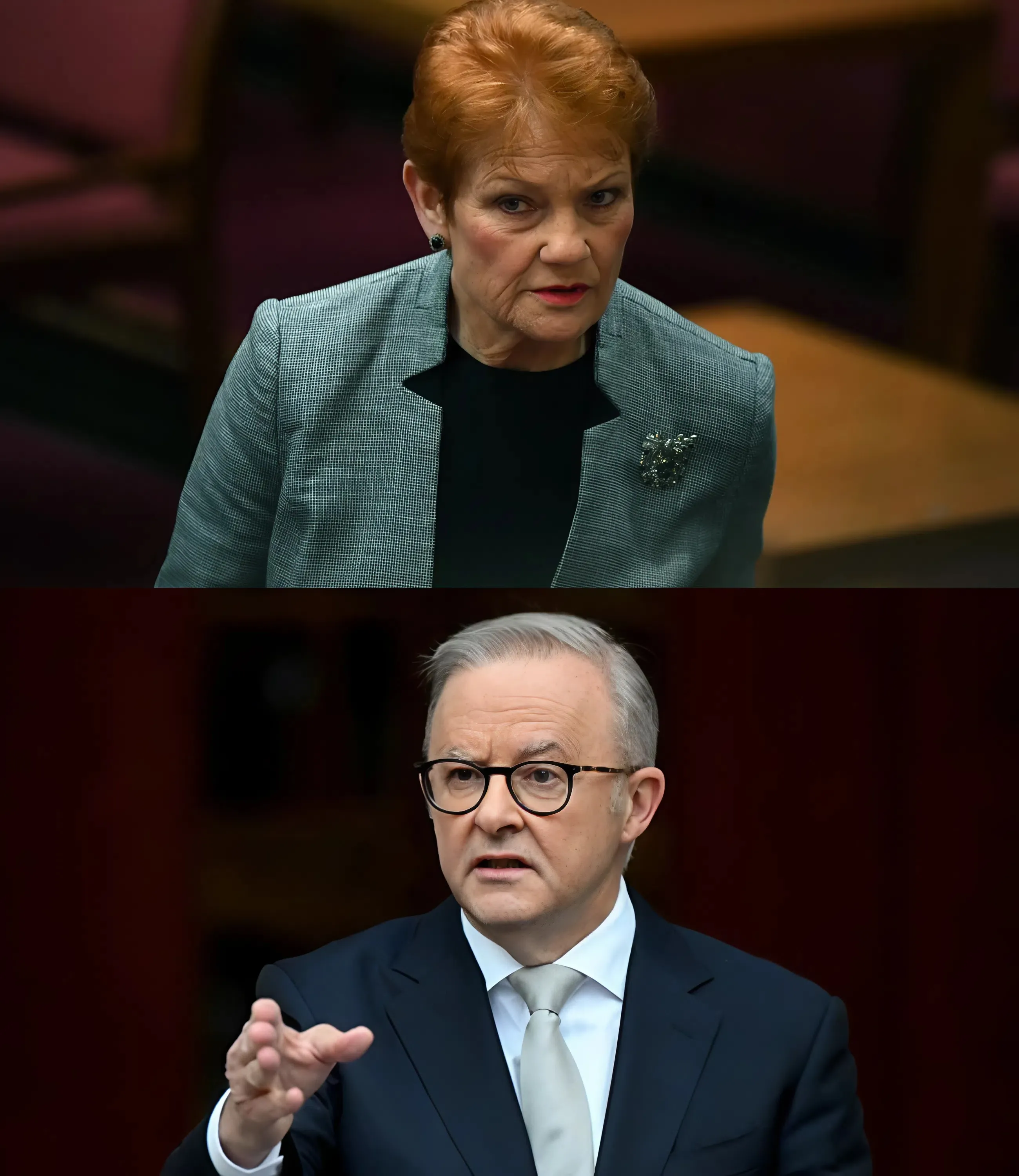 Pauline Hanson Erupts In Senate Clash Over Syrian Camp Detainees With Australian Citizenship, Accusing Anthony Albanese Government Of Risking National Security And Demanding Immediate P0litical Accountability - nhuluxury