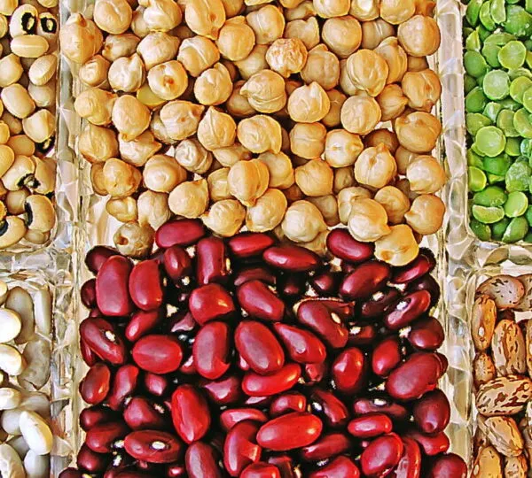 Beans and Blood Sugar: The Natural Way to Balance Glucose
