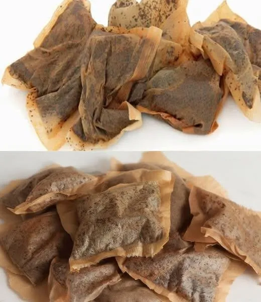 Ảnh hiện tại